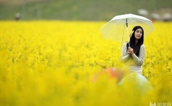 想吃你前面的葡萄